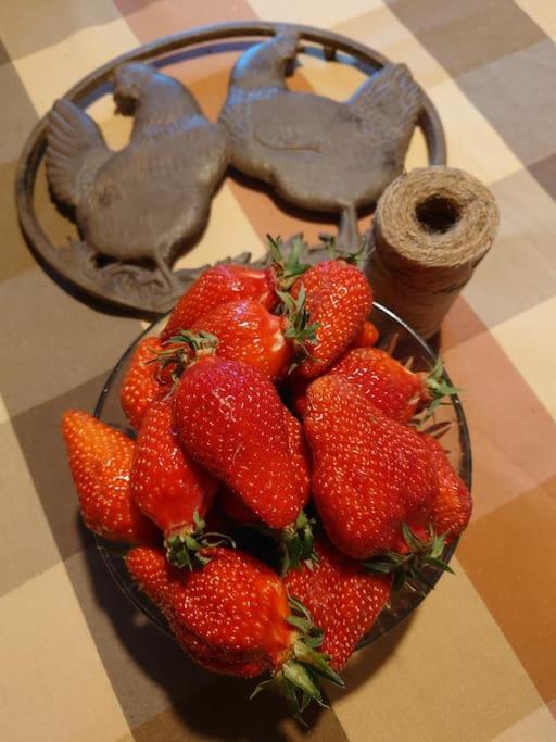 Entre Pierre Et Vigne - Charming Former Winery Farmhouse With Hot Tub & Swimming Pool Monestier  Екстериор снимка